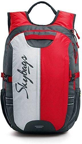 Buy Skybags Strider Pro 07 35 Ltrs Grey Laptop Backpack Online At Best  Price @ Tata CLiQ