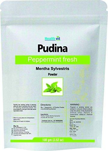 Healthvit Pudina Powder - 100 g