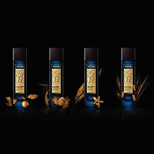 AXE Signature Gold Iced Vetiver & Fresh Lavender Perfume, 80ml