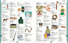 Children's Illustrated Dictionary (Dk) - NEIGHBOUR JOY