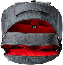 Safari 25 ltrs Laptop Backpack (Connect-Grey-LB) - NEIGHBOUR JOY