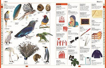 Children's Illustrated Dictionary (Dk) - NEIGHBOUR JOY