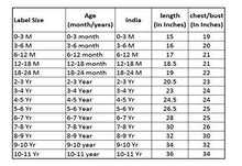 Wish Karo Girls Frock Dress (fr104rd-2-3 Yrs_Red_2-3 Years)